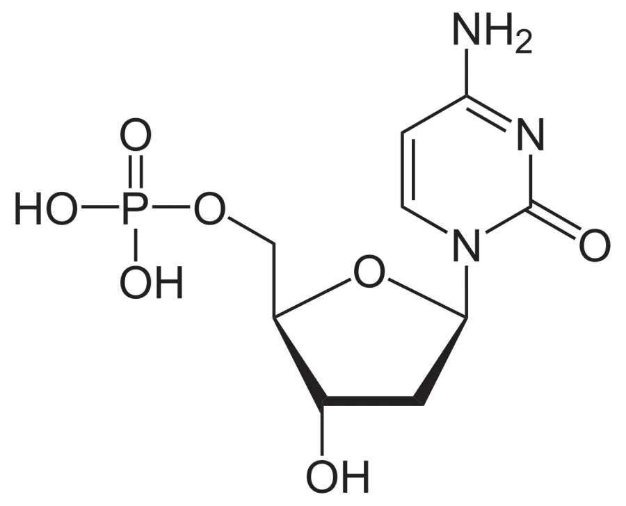 La carte Désoxycytidine monophosphate