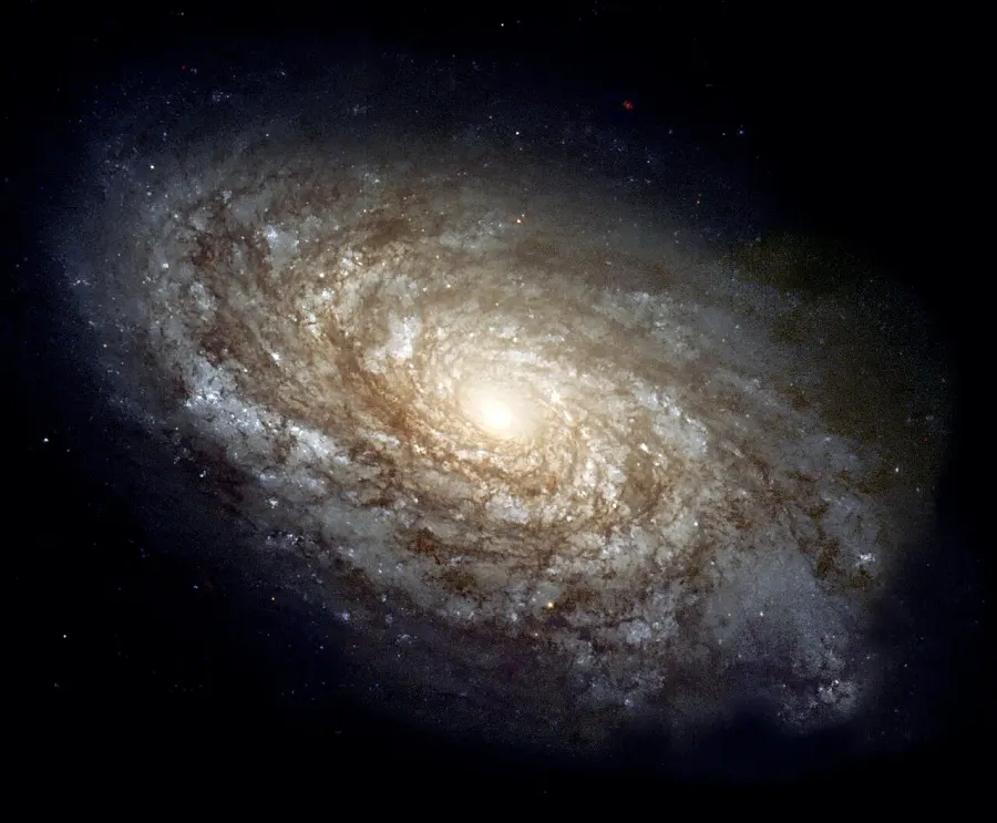 The Unbarred spiral galaxy card