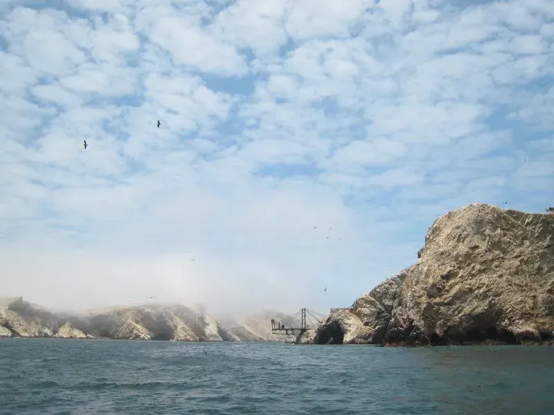 The Ballestas Islands card