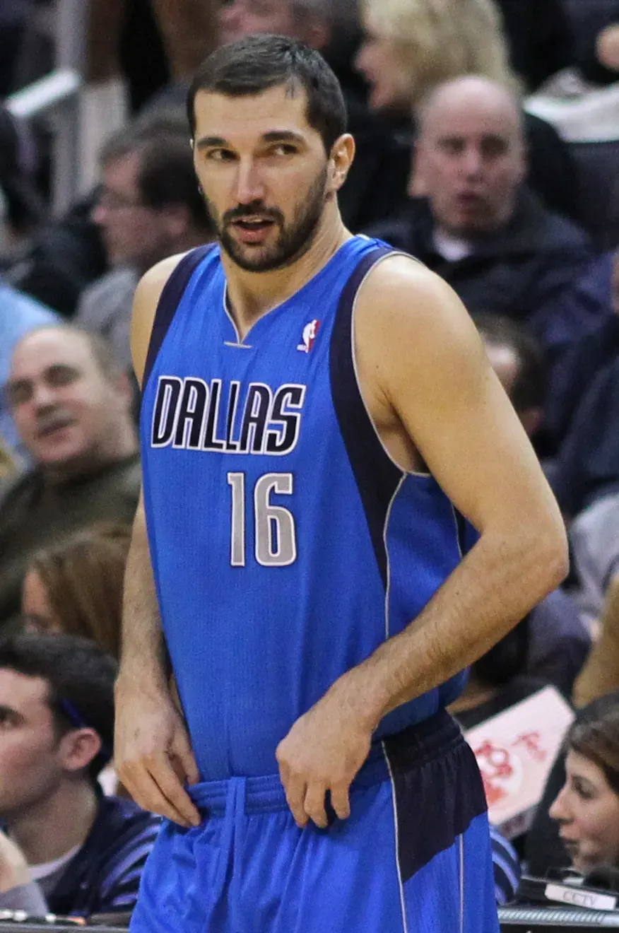 The Peja Stojaković card