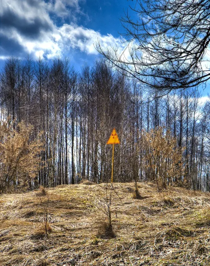 La carte Forêt rousse
