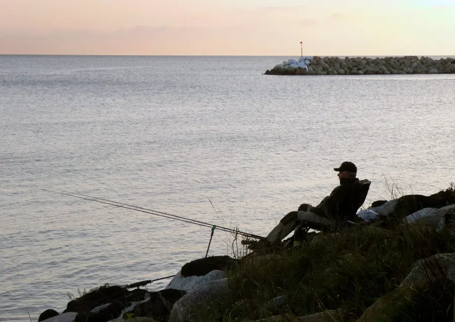 The Recreational fishing card