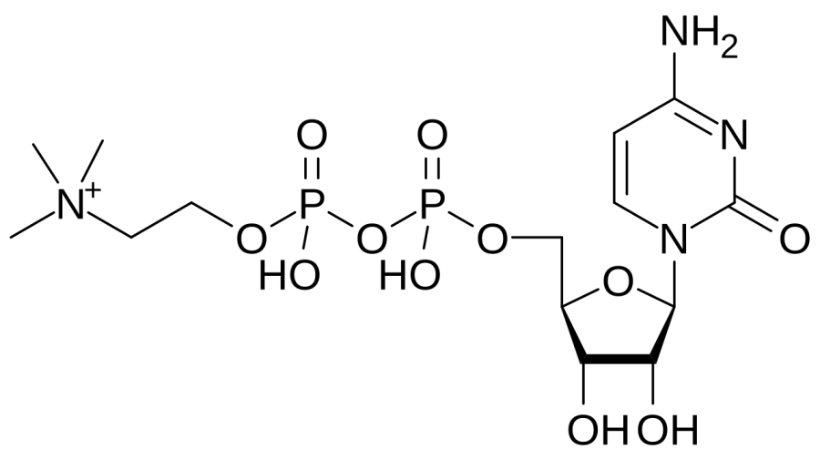 The Citicoline card