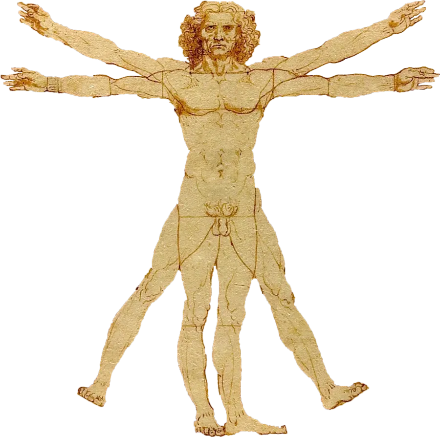 The Cognitive anthropology card