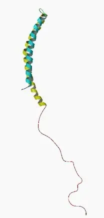 The Alpha-synuclein card