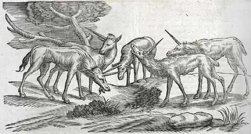 La carte Re'em