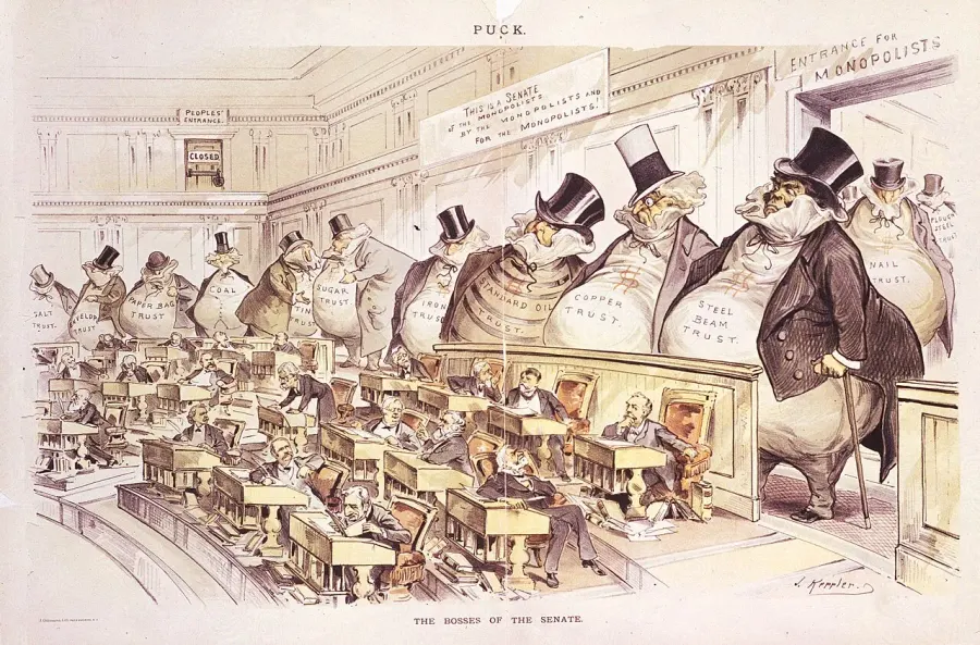 The Crony capitalism card