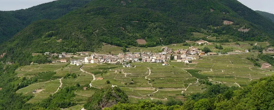 La carte Lisignago