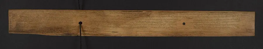 La carte Commentaires palis