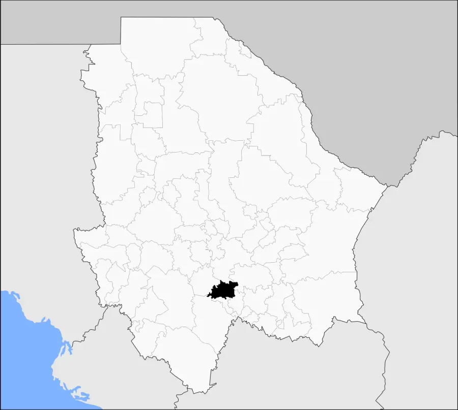 The Rosario Municipality, Chihuahua card