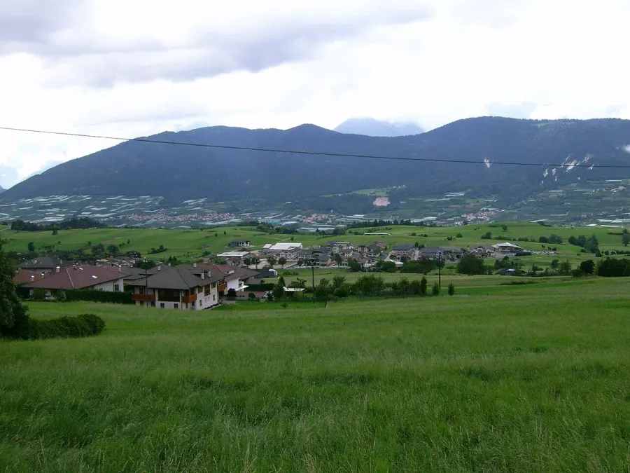La carte Ronzone