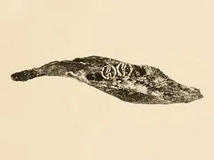 The Oriente cave rat card