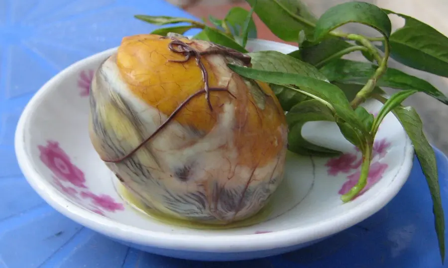 La carte Balut