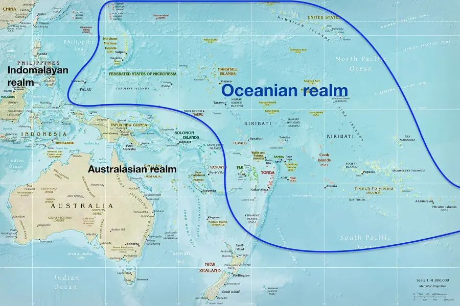 The Oceanian realm card
