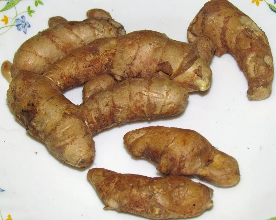 The Curcuma amada card