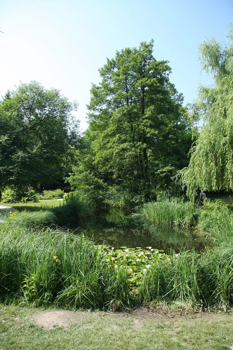 The Ljubljana Botanical Garden card