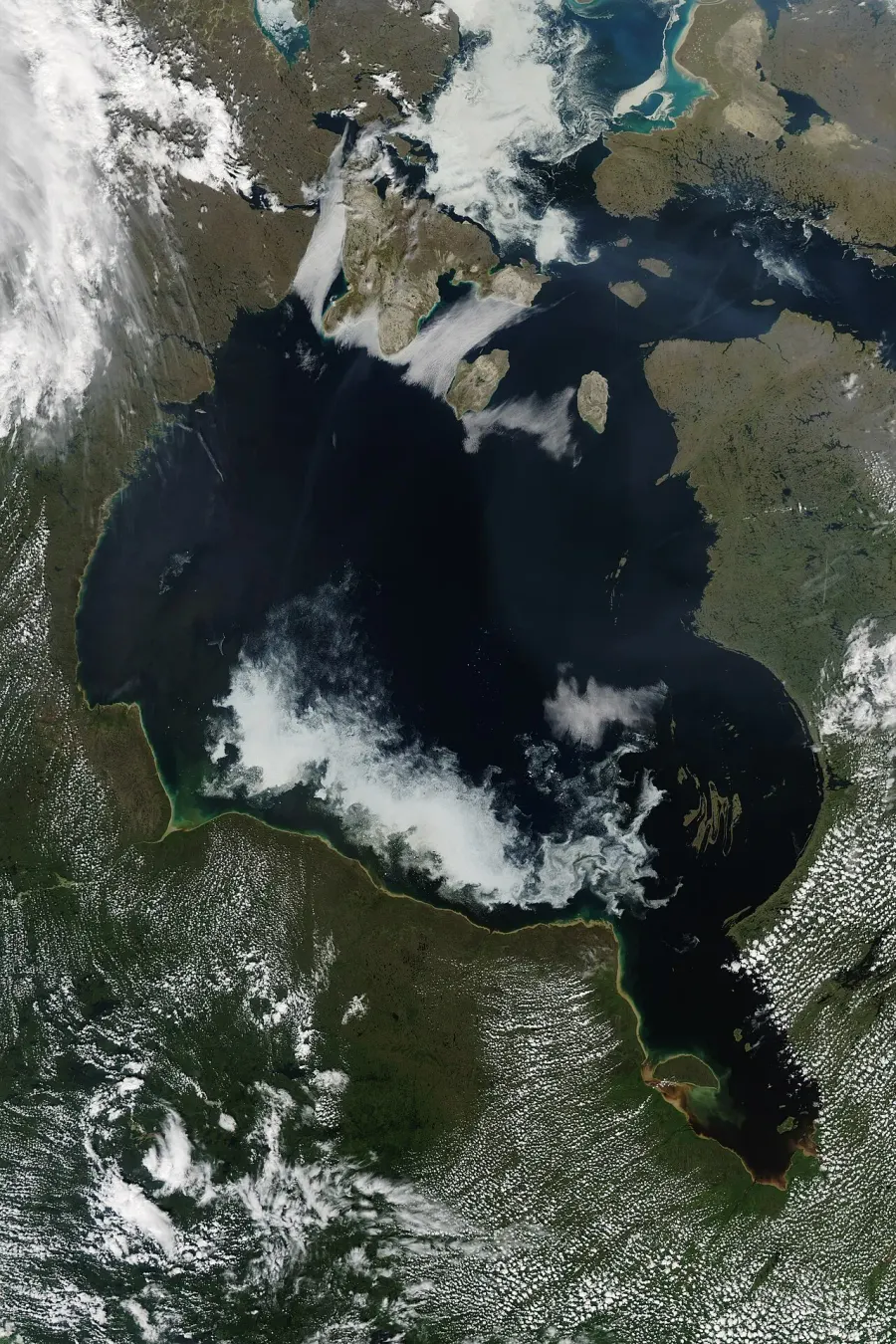 The Hudson Bay card
