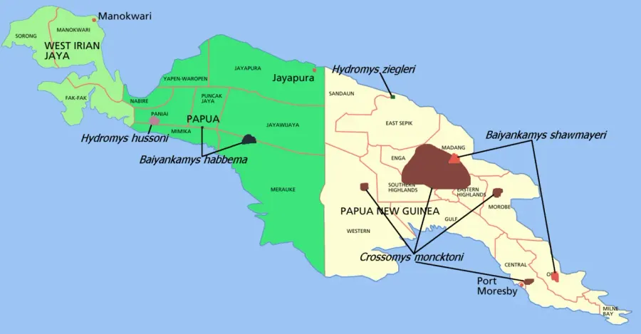La carte Crossomys moncktoni