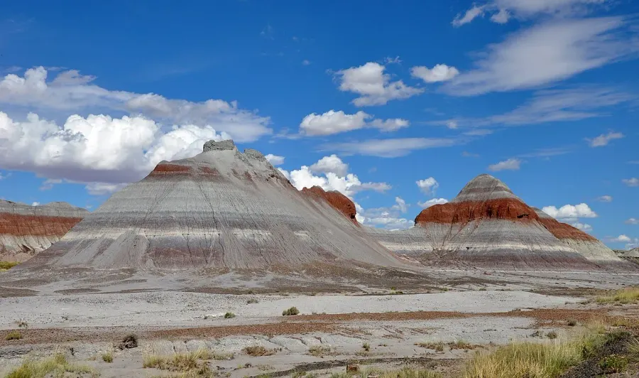 La carte Parc national de Petrified Forest