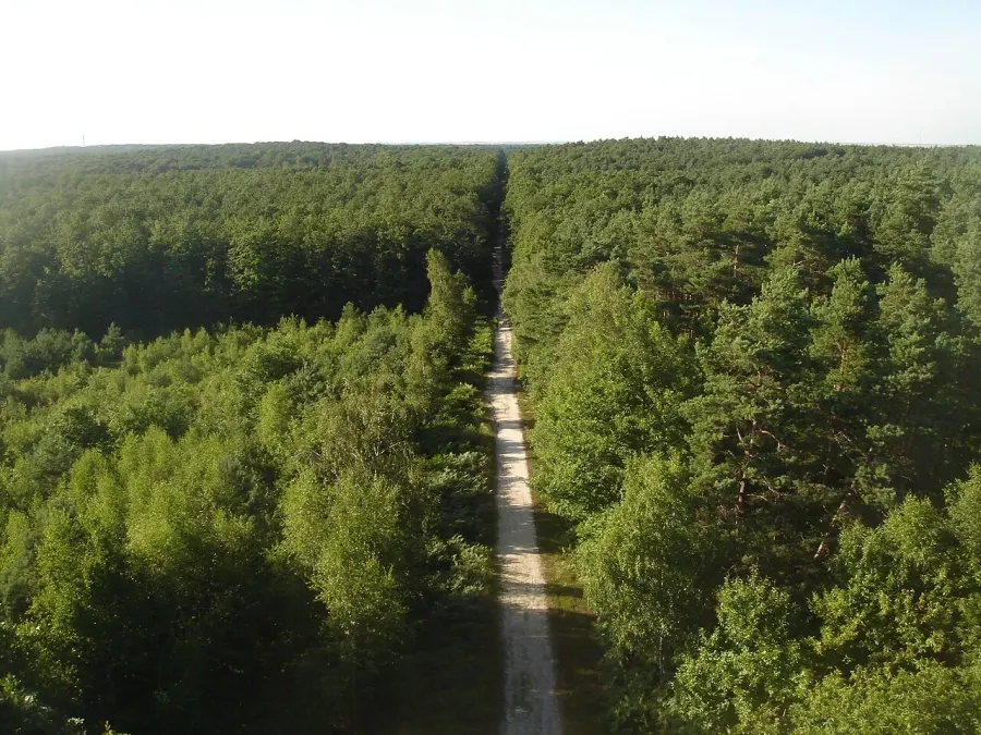 La carte Forêt domaniale