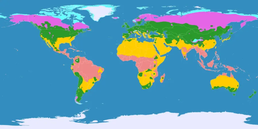 La carte Forêt tempérée