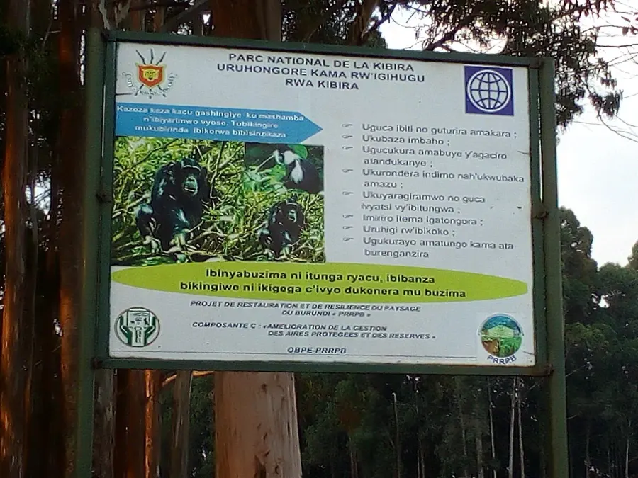 The Kibira National Park card