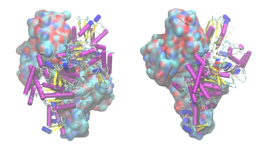 The Oxoglutarate dehydrogenase complex card