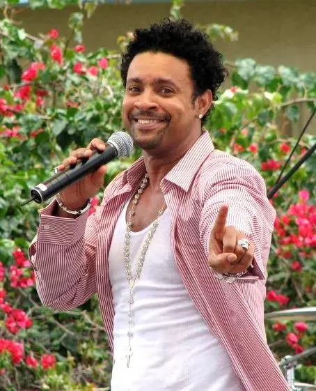 La carte Shaggy