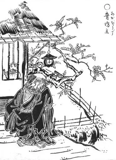 La carte Aobōzu