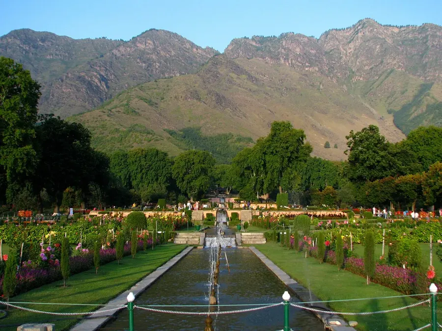 The Islamic garden card