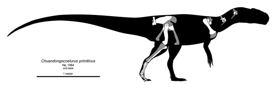 The Chuandongocoelurus card