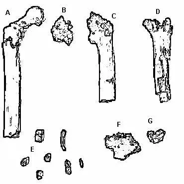 La carte Orrorin tugenensis