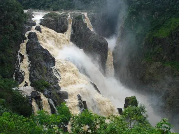 The Wet season card