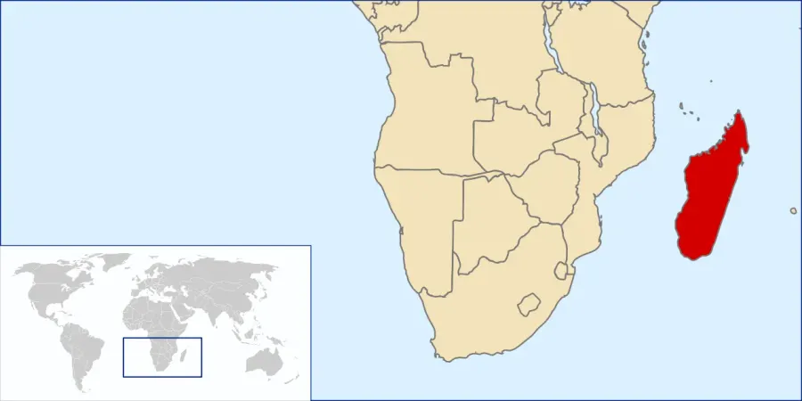 The Madagascar Plan card