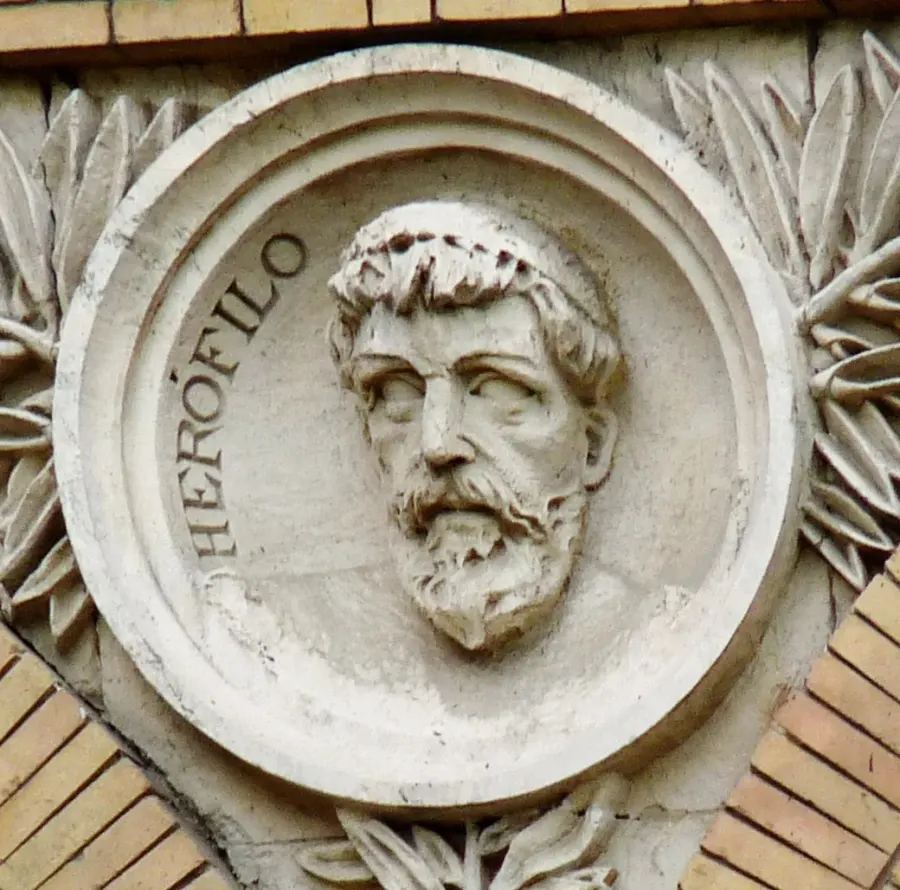 The Herophilos card