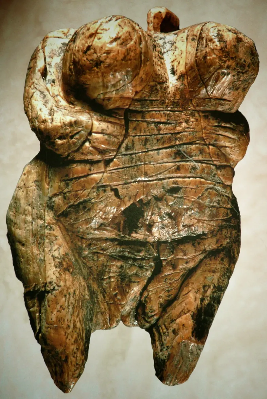 La carte Vénus de Hohle Fels