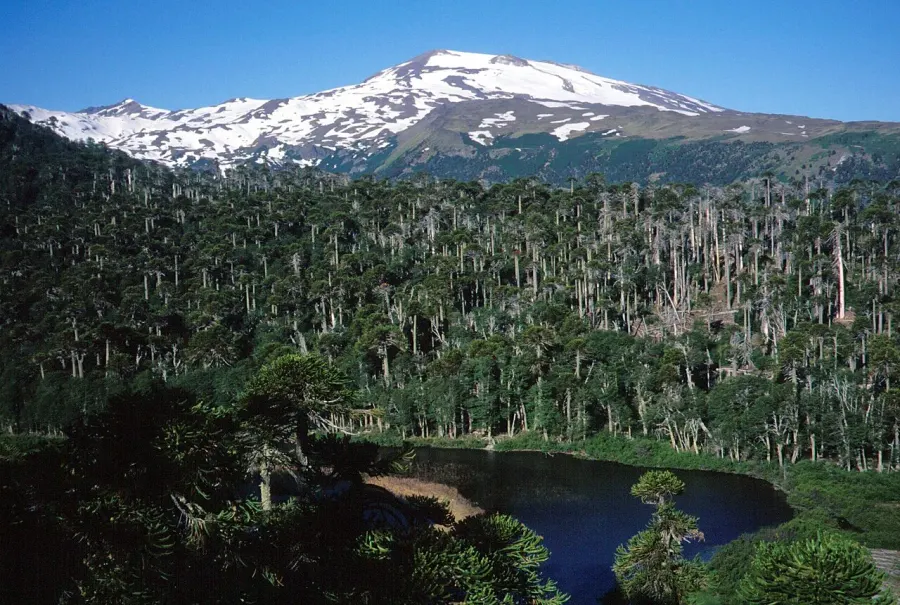 La carte Copahue