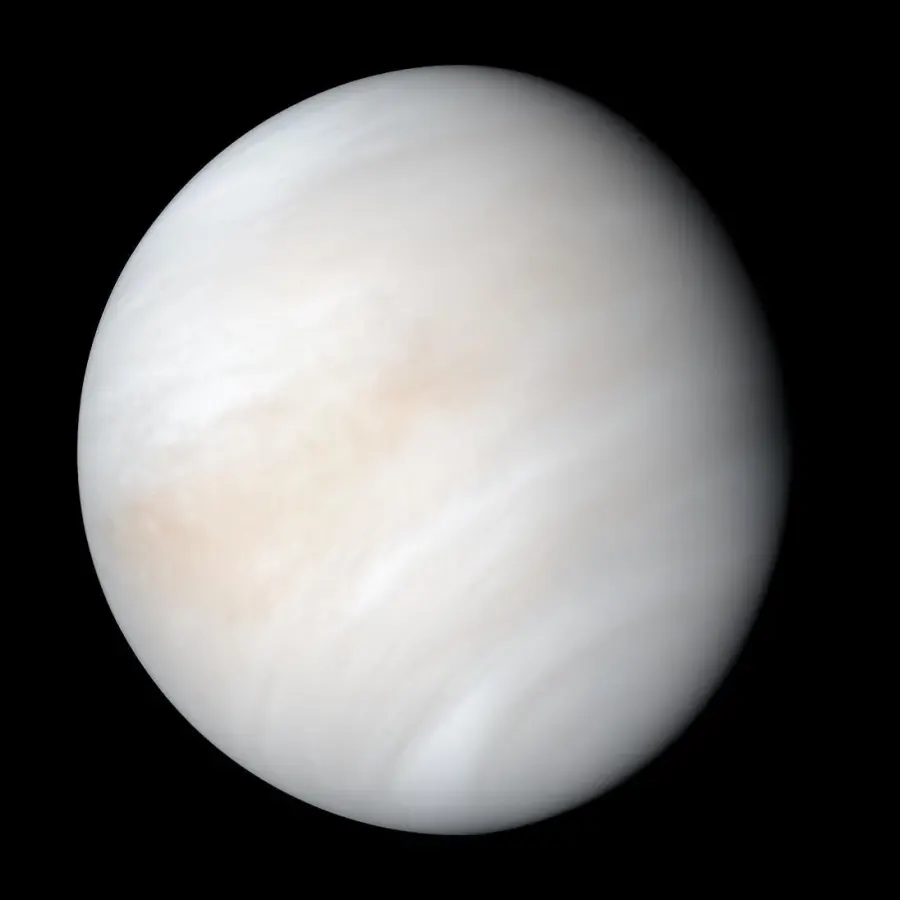 The Venus card