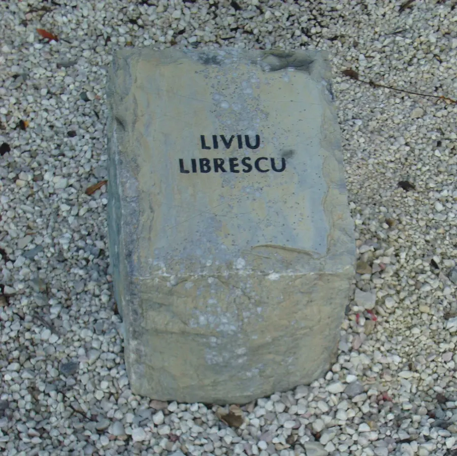 La carte Liviu Librescu