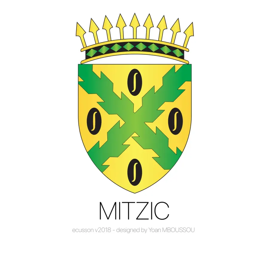 The Mitzic card