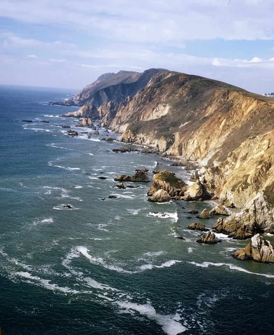 The Point Reyes card