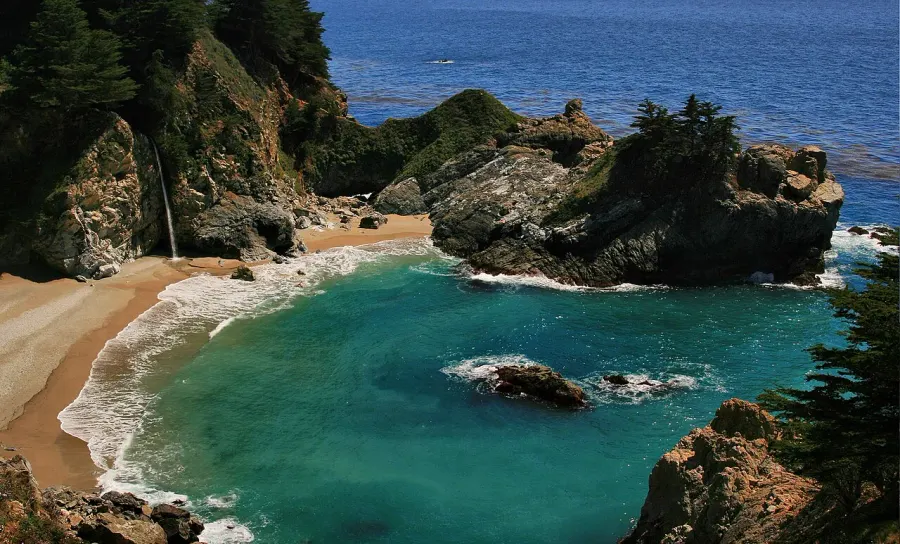 The Cove card