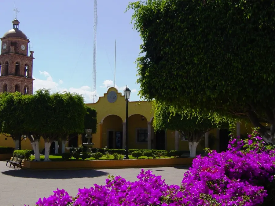 The Techaluta de Montenegro card