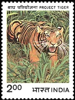 The Project Tiger card