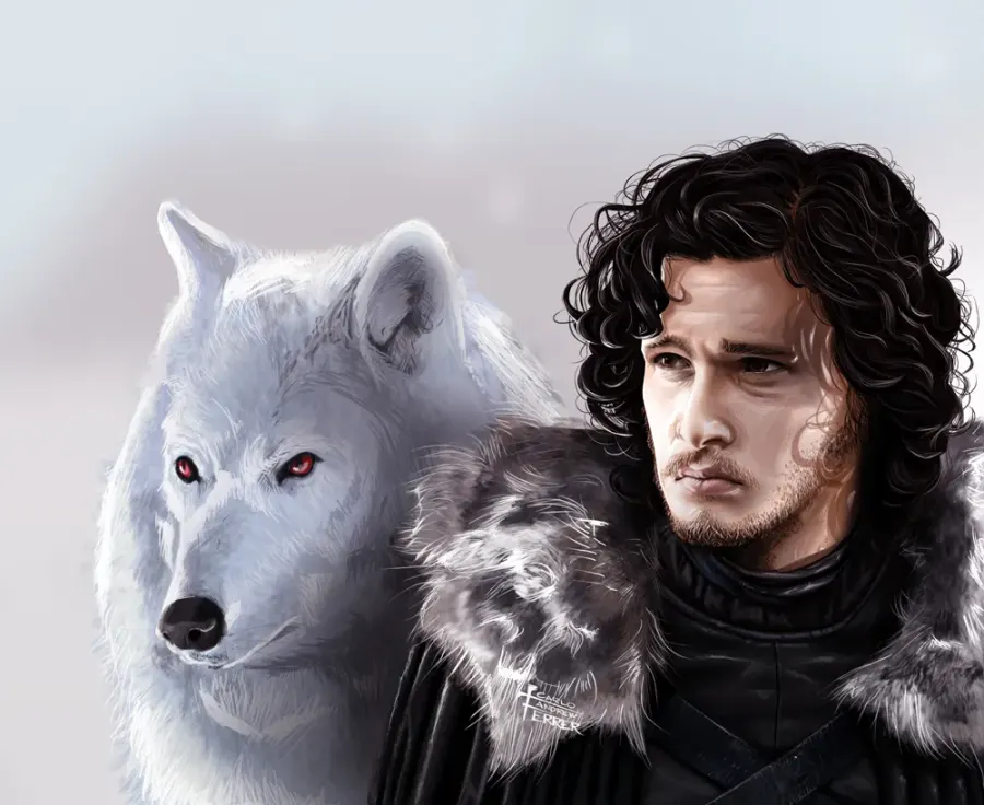 La carte Jon Snow