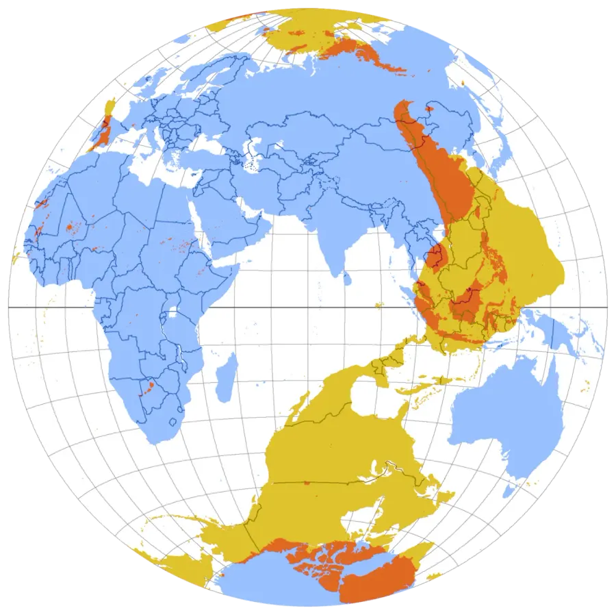 The Antipodes card