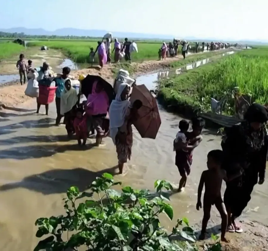 The Persecution of Muslims in Myanmar card