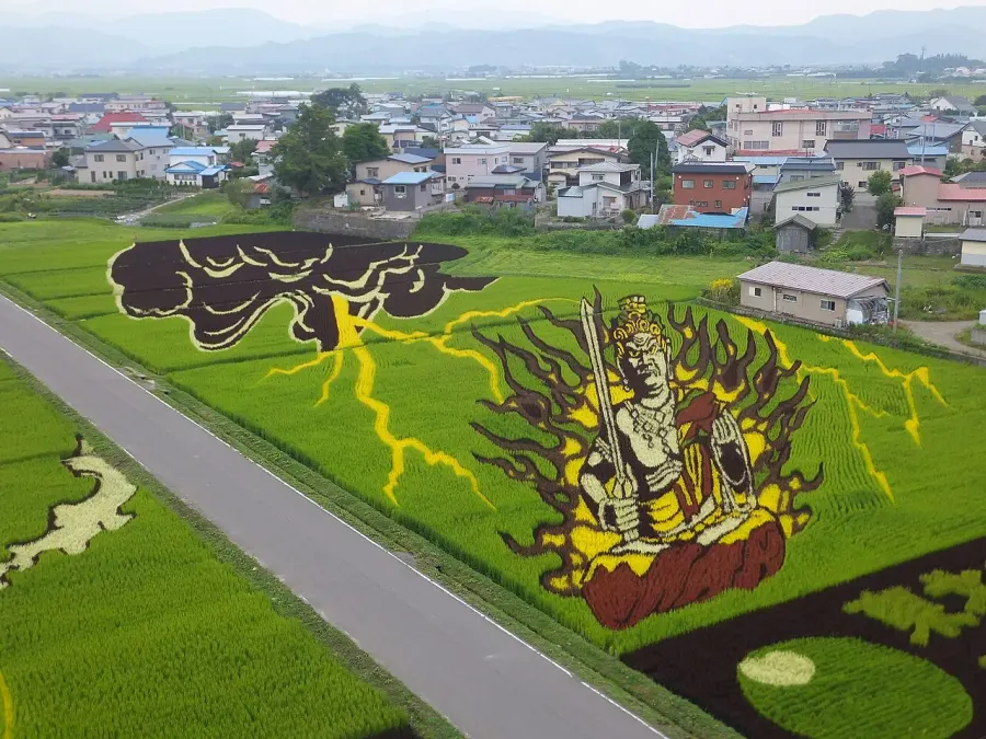 The Rice paddy art card