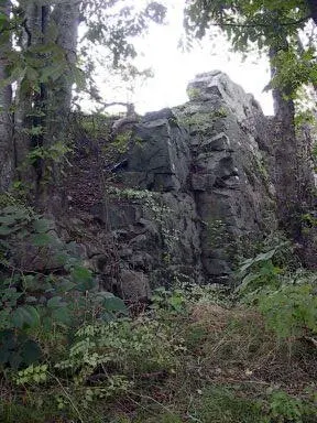 The Natural Steps, Arkansas card