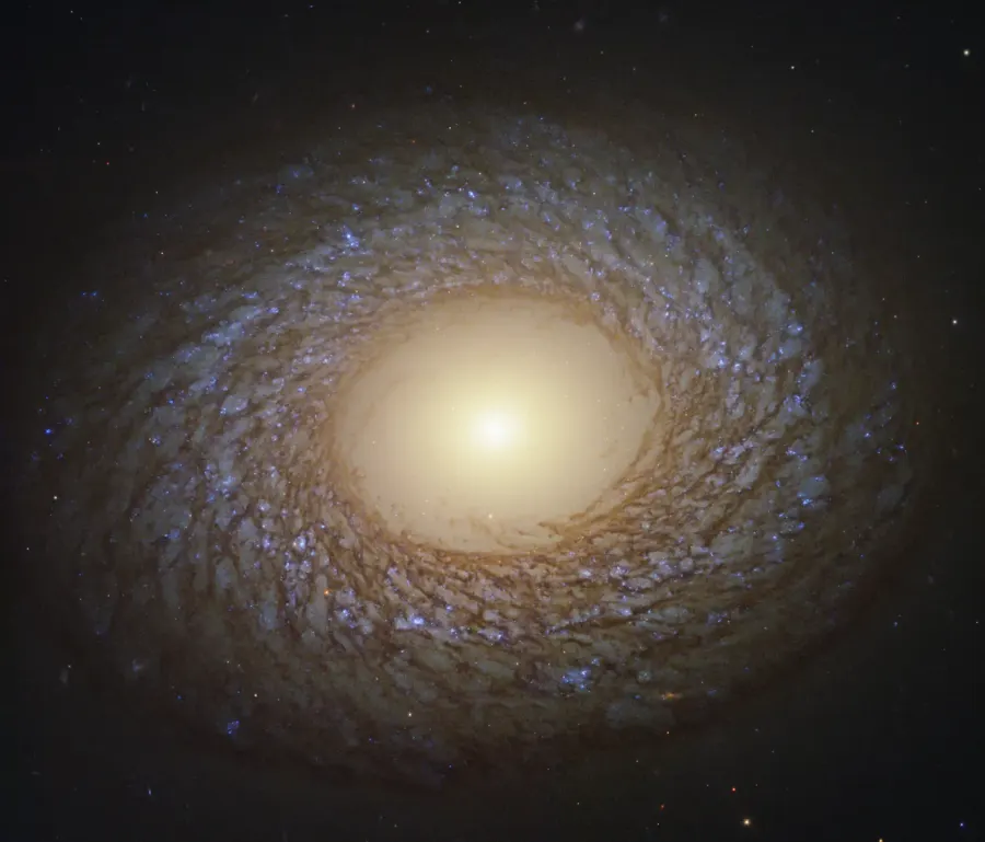 La carte Galaxie spirale cotonneuse
